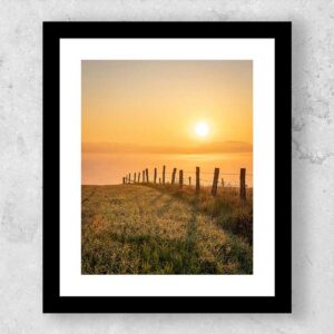 10 X 12 Custom Framed Print